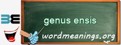 WordMeaning blackboard for genus ensis